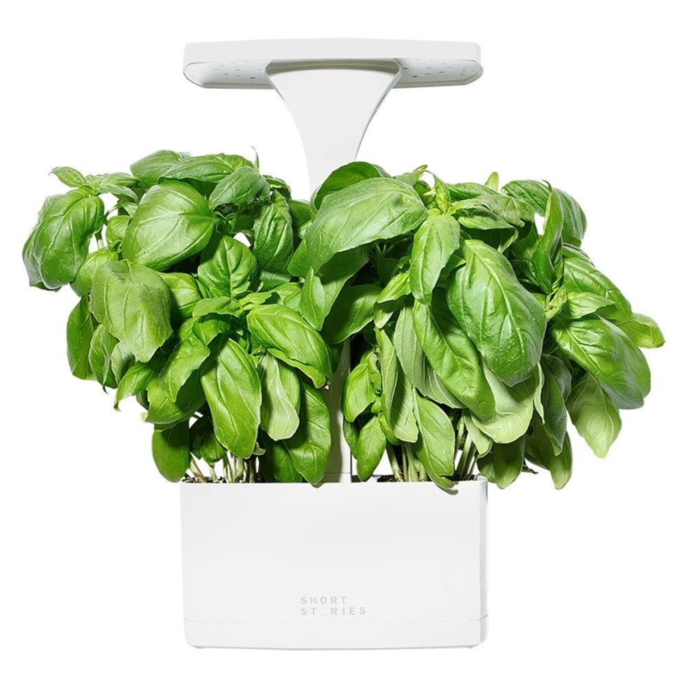 NEW Short Stories Compact LED Indoor Planter with USB